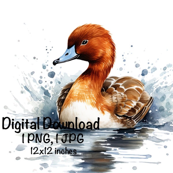 Redhead Duck png Wild Duck Sublimation Clipart Lake Sublimation Duck PNG Duck Hunter png Dabbling Duck PNG Duck Hunting Sublimation PNG
