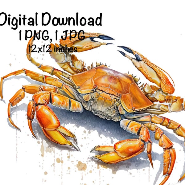 Dungeness Crab Watercolor Crabbing Fishing Clipart Crab PNG Commercial Use Ocean Crab Fishing Watercolor Illustration Fishing Crab Print PNG