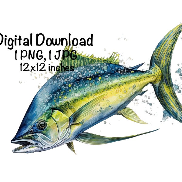 Mahi Mahi Fish Watercolor Saltwater Fish Clipart Mahi Mahi Swimming PNG Commercial Use Illustration Dolphinfish Fishing Fish Print PNG