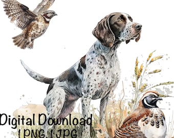 German Shorthaired Pointer Dog Watercolor Clipart Bobwhite Quail PNG Commercial Use Hunting Dog Birds Hunter Pointer Dog Sublimation Print