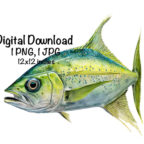 Mahi Mahi Fish Watercolor Saltwater Fish Clipart Mahi Mahi Swimming PNG Commercial Use Illustration Dolphinfish Fishing Fish Print PNG