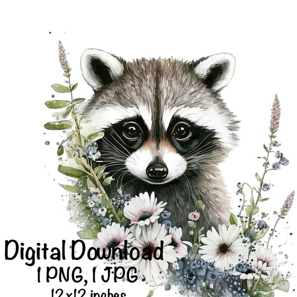 Cute Racoon Watercolor Clipart Racoon Spring Daisy Flowers PNG Commercial Use Racoon Sublimination PNG Graphic Design Illustration Print