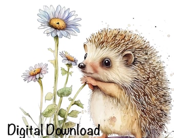 Hedgehog, Cute Hedgehog clipart, Forest Animals Hedgehog PNG, Hedgehog Daisy Flowers Sublimation Hedgehog Printable Hedgehog PNG Watercolor