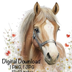 Horse Watercolor Clipart Horse Flowers Valentines Day Heart PNG Commercial Use Farm Animals Graphic Design Illustration Wild Horse Print