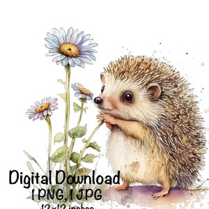 Hedgehog, Cute Hedgehog clipart, Forest Animals Hedgehog PNG, Hedgehog Daisy Flowers Sublimation Hedgehog Printable Hedgehog PNG Watercolor