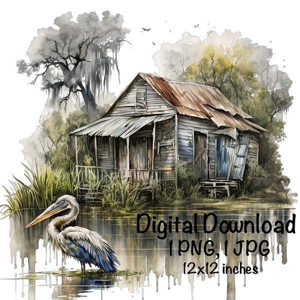 Old Shack on the Bayou Watercolor Swamp Clipart Wall Art Rustic Shack Pelican Bird Landscape Commercial Use Swamp Hunting PNG Illustration