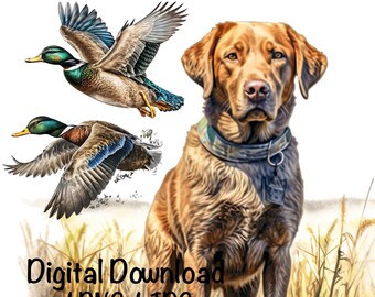 Duck Hunting Dog Watercolor Clipart Chesapeake Retriever Dog PNG Commercial Use Sublimation Hunting Dog Forest Wood Field Illustration Print