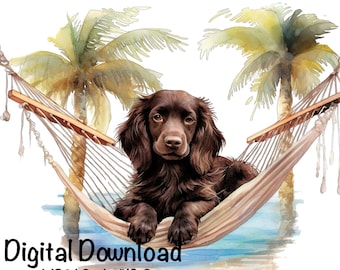 Boykin Spaniel Dog Hammock Outdoor Clipart Boykin Spaniel Dog PNG Commercial Use Hunting Dog Summer Hunter Boykin Dog Cute Funny PNG Print