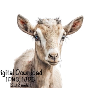 Farm Goat Watercolor Clipart Goat Portrait Farmer Farm PNG Commercial Use Farm Goat Graphic Cute Goat Riding Design Illustration Print