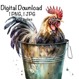 Rooster in a Bucket Watercolor Clipart Cute Rooster & Bucket Farm Rooster PNG Commercial Use Chicken Farm Animals Graphic Illustration Print