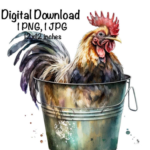 Rooster in a Bucket Watercolor Clipart Cute Rooster & Bucket Farm Rooster PNG Commercial Use Chicken Farm Animals Graphic Illustration Print