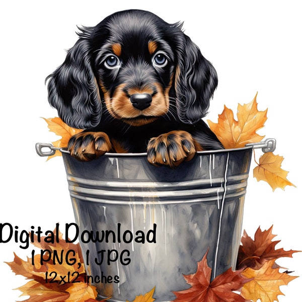 Gordon Setter in a Bucket PNG Autumn Fall Cute Gordon Bucket Baby Puppy PNG Commercial Use Gordon Setter Sublimation Graphics PNG Print