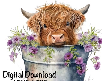 Highland Cow Watercolor Clipart Cute Highland Cow in Bucket Spring Flowers PNG Commercial Use Scottish Cow Graphic Design Illustration Print