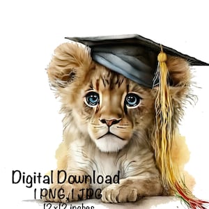 Cute Baby Lion Graduation Watercolor Preschool Kids Graduation Clipart Graduate Gift Art Graduation Cap Commercial Use Adorable Illustration