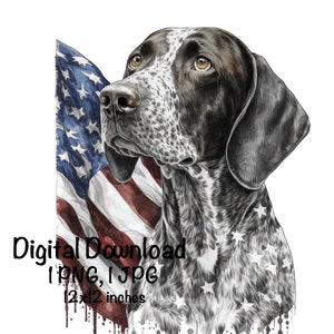 May include: A digital download of a black and white illustration of a German Shorthaired Pointer dog with a red, white, and blue American flag behind it. The dog is looking to the left. The image is 12x12 inches.