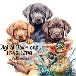 May include: Three puppies, one brown, two black, sit in a wicker basket with a duckling swimming in a pool of water. The duckling is brown and green with a yellow beak. The puppies are looking at the camera. The text "Digital Download 1 PNG, 1 JPG 12x12 inches" is at the bottom of the image.