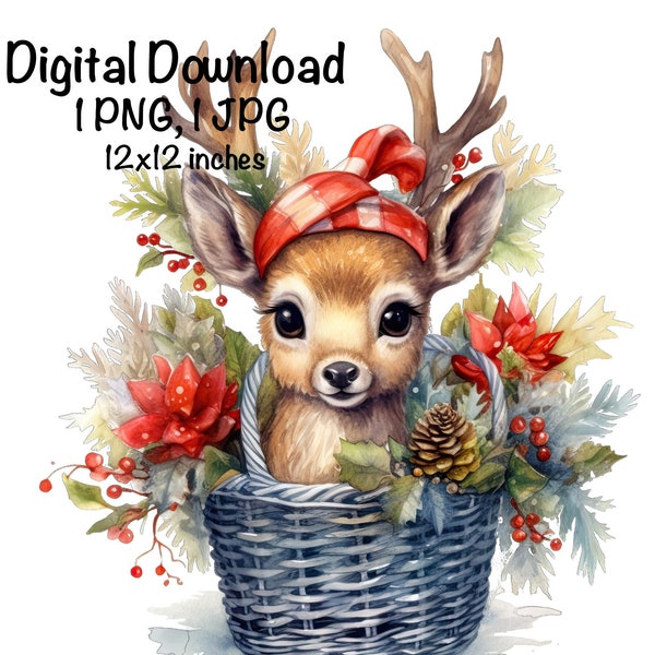 Cute Christmas Reindeer PNG Commercial Use Reindeer Graphic Elk PNG Design Animals XMas Holiday Flowers Clipart Baby Reindeer in a Basket