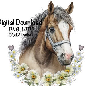 Horse Watercolor Clipart Horse Flowers Valentines Day Heart PNG Commercial Use Farm Animals Graphic Design Illustration Wild Horse Print