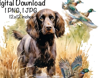 Boykin Spaniel Dog Watercolor Clipart Boykin Spaniel Dog PNG Commercial Use Hunting Dog Duck Hunter Boykin Dog Cute Illustration PNG Print