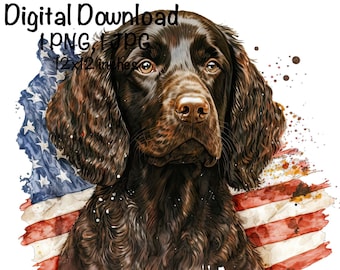 Boykin Spaniel Flag PNG Patriotic USA Dog Flag Clipart American Dog Commercial Use Transparent Clipart Boykin Flag Sublimation United States