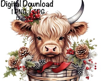 Highland Cow Watercolor Clipart Highland Cow Christmas Flowers Holiday PNG Commercial Use Scottish Cow Graphic PNG XMas Illustration Print