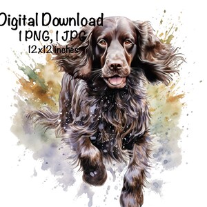 Boykin Spaniel Dog Watercolor Clipart Boykin Spaniel Dog Running PNG Commercial Use Hunting Dog Duck Hunter Boykin Dog Cute Hunting Print