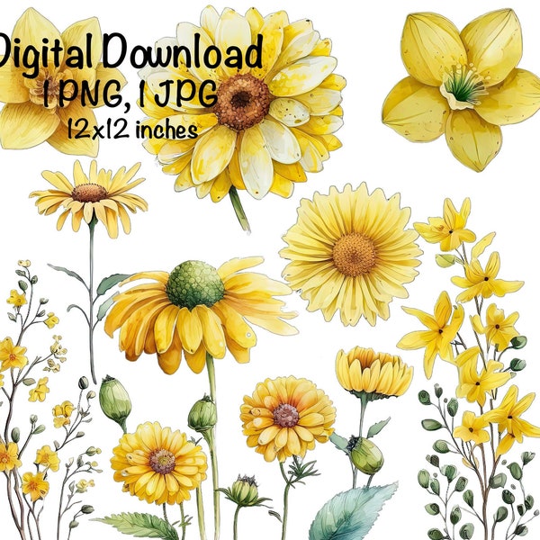 Yellow Spring Flowers Clipart Flowers PNG Commercial Use Daisy Flowers Set Illustration Cute Flowers Clipart Summer Spring Flowers PNG Print
