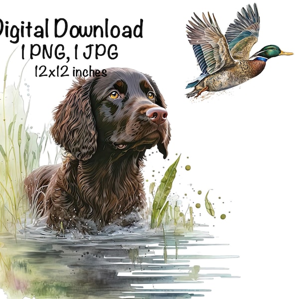 Boykin Spaniel Dog Watercolor Clipart Bokin Cute Dog PNG Commercial Use Boykin Spaniel American Duck Hunting Dog Cute Illustration PNG Print