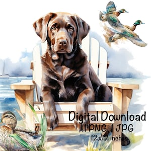 Chocolate Labrador Dog Watercolor Clipart Lab Dog Beach Chair Ducks PNG Commercial Use Hunting Dog Duck Hunter Lab Dog Illustration Print