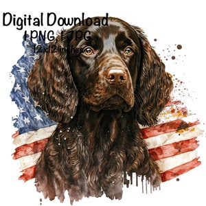 May include: A brown and black German Shorthaired Pointer dog with a watercolor American flag background. The dog is looking up and to the right. The flag is faded and has a watercolor effect.