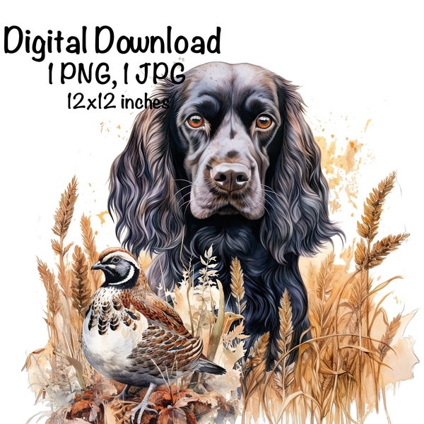 English Cocker Spaniel Dog Watercolor Clipart Bobwhite Quail PNG Commercial Use Hunting Dog Birds Hunter Cocker Spaniel Dog Sublimation PNG