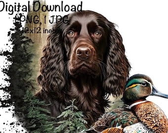 Boykin Spaniel Dog Watercolor Clipart Boykin Spaniel Dog PNG Commercial Use Hunting Dog Duck Hunter Boykin Dog Cute Illustration PNG Print
