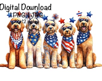 4 juli Goldendoodles, png PNGEgg | 4 juli Goldendoodle Dog-sublimatie, png PNGEgg | Gouden krabbelhond | America Goldendoodle, png-bestand | Honden op een rij