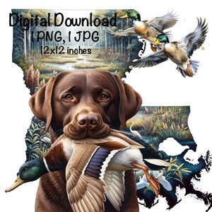 Louisiana Duck Jagdhund PNG, Schokolade Labrador Retriever Hund Sublimaiton LA Map Jagd Sublimation Stockente Duck Sublimation Entenjäger