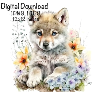 Wolf Watercolor Clipart Wild Baby Wolf Spring Flowers PNG Commercial ...