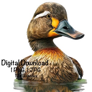 Wild Duck Watercolor Wild Duck Clipart Wall Art Sublimation Duck PNG Commercial Use Dabbling Duck Watercolor Illustration Cute Duck Print