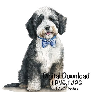 Sheepadoodle Dog Watercolor Clipart Doodle Dog Blue Bow Tie PNG Commercial Use Doodle Sheep Dog Graphic Design Illustration Print