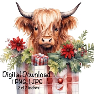 Highland Cow aquarel clipart Highland Cow kerst bloemen vakantie png kerstcadeaus Schotse koe afbeelding png XMas afbeelding afdrukken