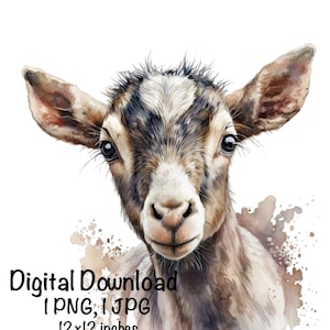 Farm Goat Watercolor Clipart Goat Portrait Farmer Farm PNG Commercial Use Farm Goat Graphic Cute Goat Riding Design Illustration Print