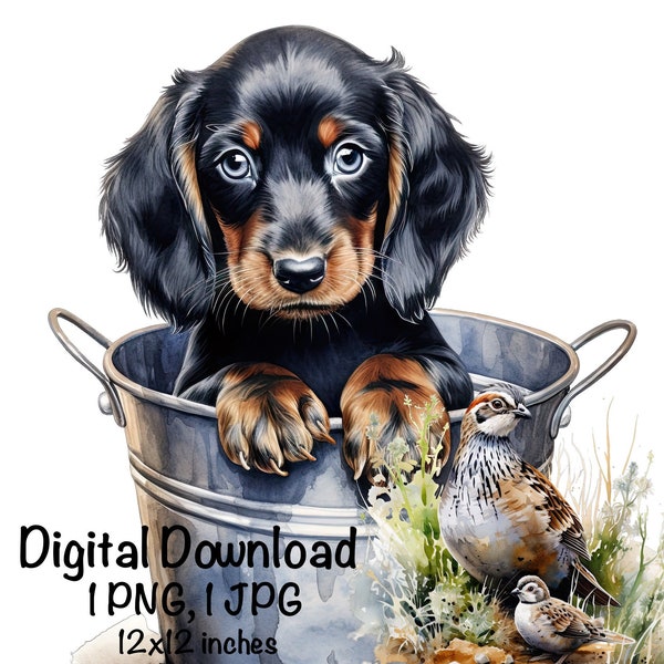 Gordon Setter in a Bucket PNG Quail Hunting Cute Gordon Bucket Baby Puppy PNG Commercial Use Gordon Setter Sublimation Graphics PNG Print