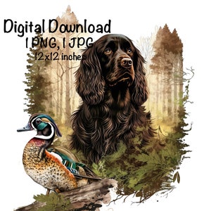 Boykin Spaniel Dog Watercolor Clipart Boykin Spaniel Dog PNG Commercial Use Hunting Dog Duck Hunter Boykin Dog Cute Illustration PNG Print