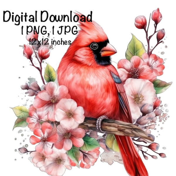 Red Cardinal PNG Watercolor Clipart Red Cardinal Exotic Flowers Sublimation Download Good Luck Birds Tropical Floral png Northern Cardinal