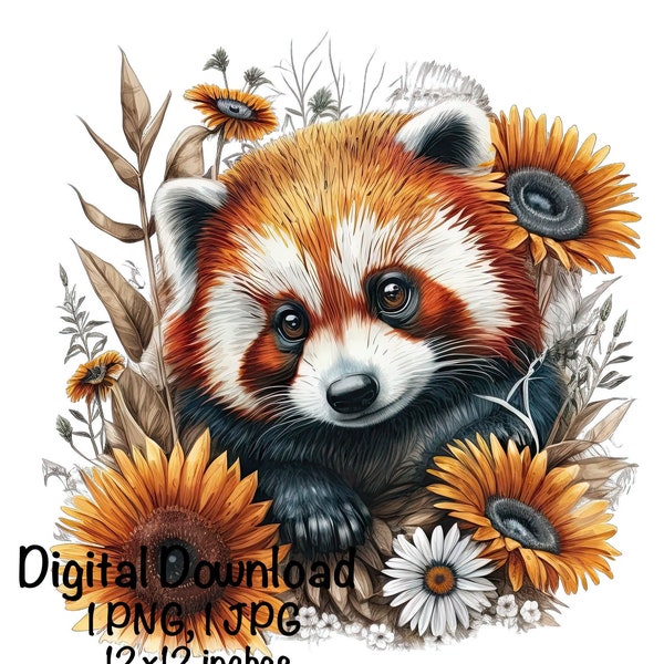 Red Panda Watercolor Clipart Lesser Panda Sunflowers Flowers Himalaya Panda PNG Commercial Use Red Panda Graphic Design Illustration Print