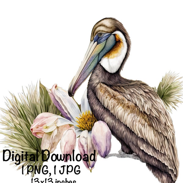 Pelican Watercolor Clipart Louisiana Brown Pelican Magnolia Flowers PNG Commercial Use LA Pelican Graphic Flowers Design Illustration Print