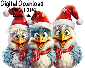 Funny Chicken PNG, Cute Chickens PNG Sublimation, Christmas Crazy Chickens png, Commercial Use, Farm Life Digital Download Chicken Birds PNG