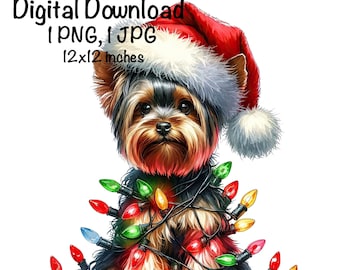 リヤドロ / ヴィンテージ / 廃盤リヤドロ - Our Cozy Home