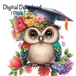 Graduation Owl Clipart Grad Student Owl PNG College Graduation Sublimation, Graduation Cap Grad Rainbow Owl Flowers Graduate Printable