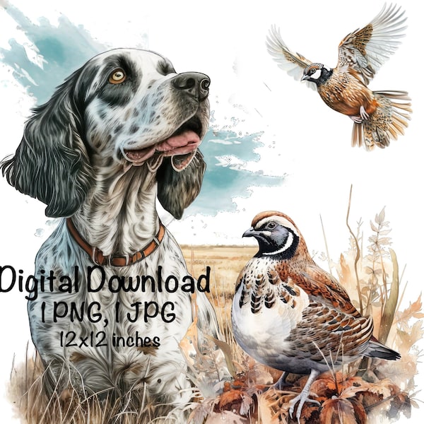 Quail Hunting Dog Watercolor Clipart English Setter Dogs PNG Commercial Use Sublimation Bird Hunting Dog In a Wheat Field Illustration Print