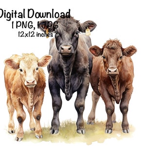 Angus Cows Watercolor Clipart Beef Cows Mama Angus Cow PNG Commercial Use Mom & Calf Farm Barnyard Cows PNG Sublimation Illustration Print