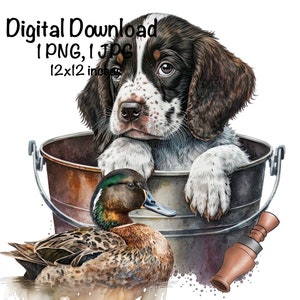English Springer Puppy PNG Sublimation Spaniel Dog in a Bucket English Springer PNG Commercial Use English Springer Duck Decoy Duck Call PNG